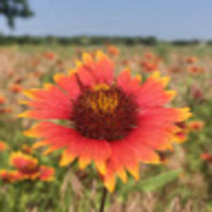 Meet your Posher, Laura jill